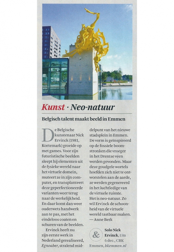 Belgisch talent maakt beeld in Emmen