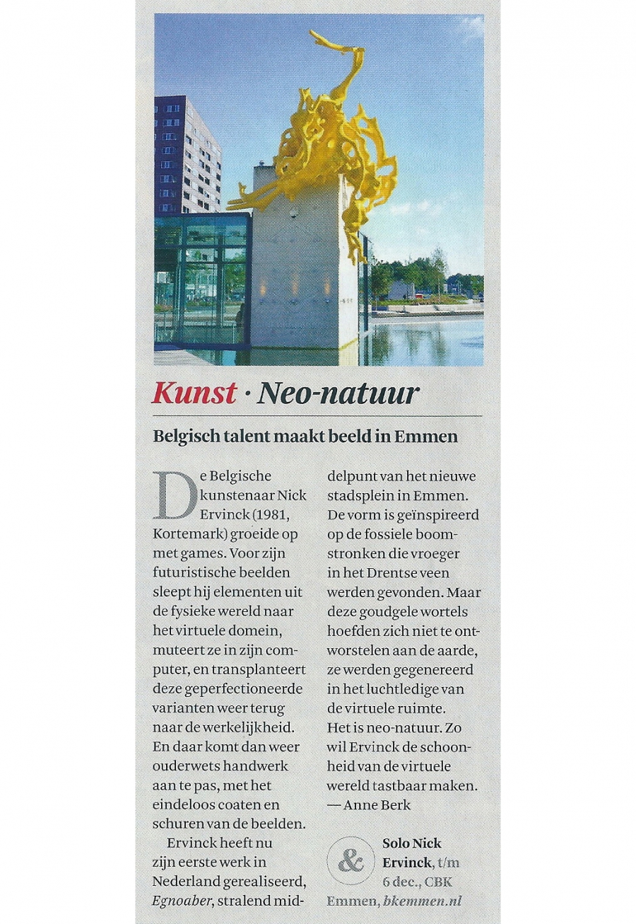 Belgisch talent maakt beeld in Emmen