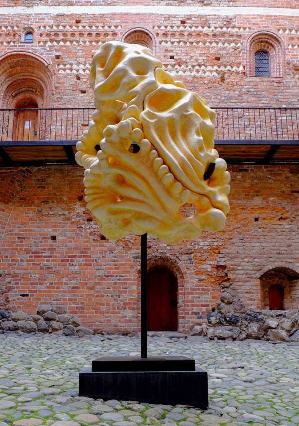 WIGNIROPS