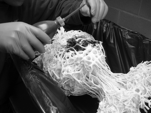 making of AGRIEBORZ