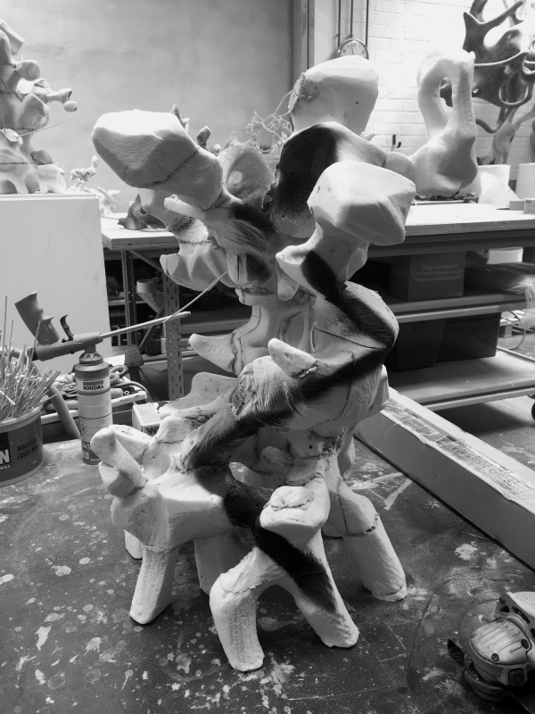 studio Lichtervelde